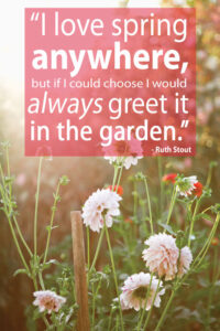 I Love Spring Anywhere: Our Best Garden Tips